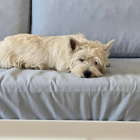 Sun & Sea Baltic Brzezno Przy Plazy *