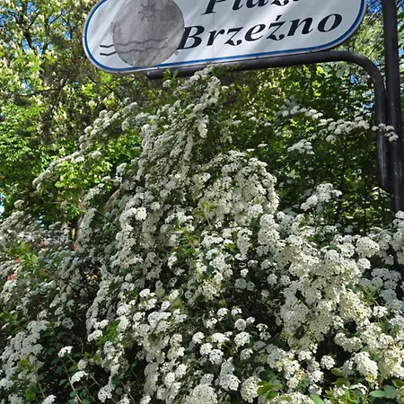 Apartmán Sun & Sea Baltic Brzezno Przy Plazy *