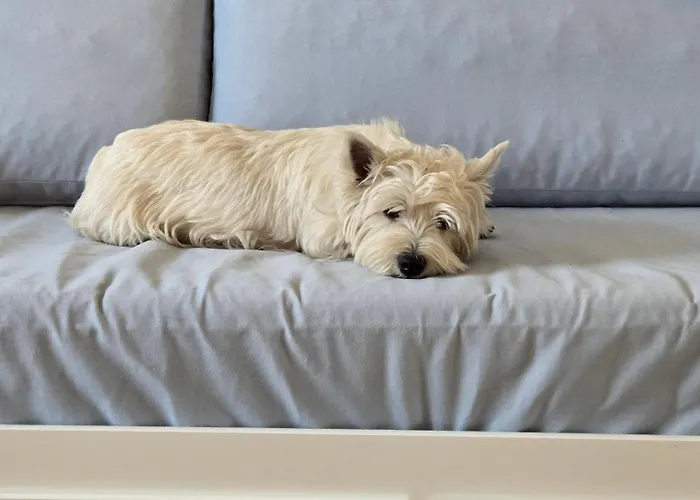 Sun & Sea Baltic Brzezno Przy Plazy *