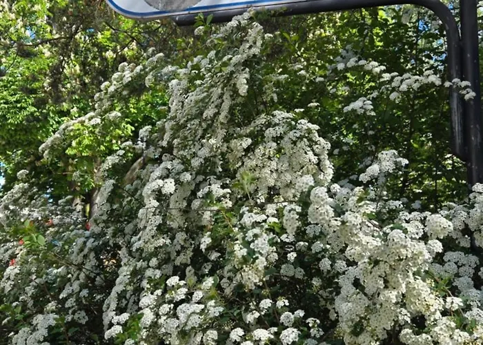 公寓 Sun & Sea Baltic Brzezno Przy Plazy *